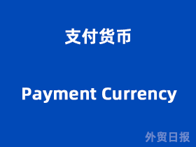 支付货币（Payment Currency）