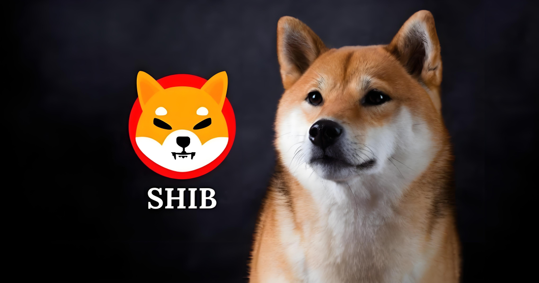 SHIB柴犬币即将在印度成为线下支付方式，加密货币领域迎来重大突破